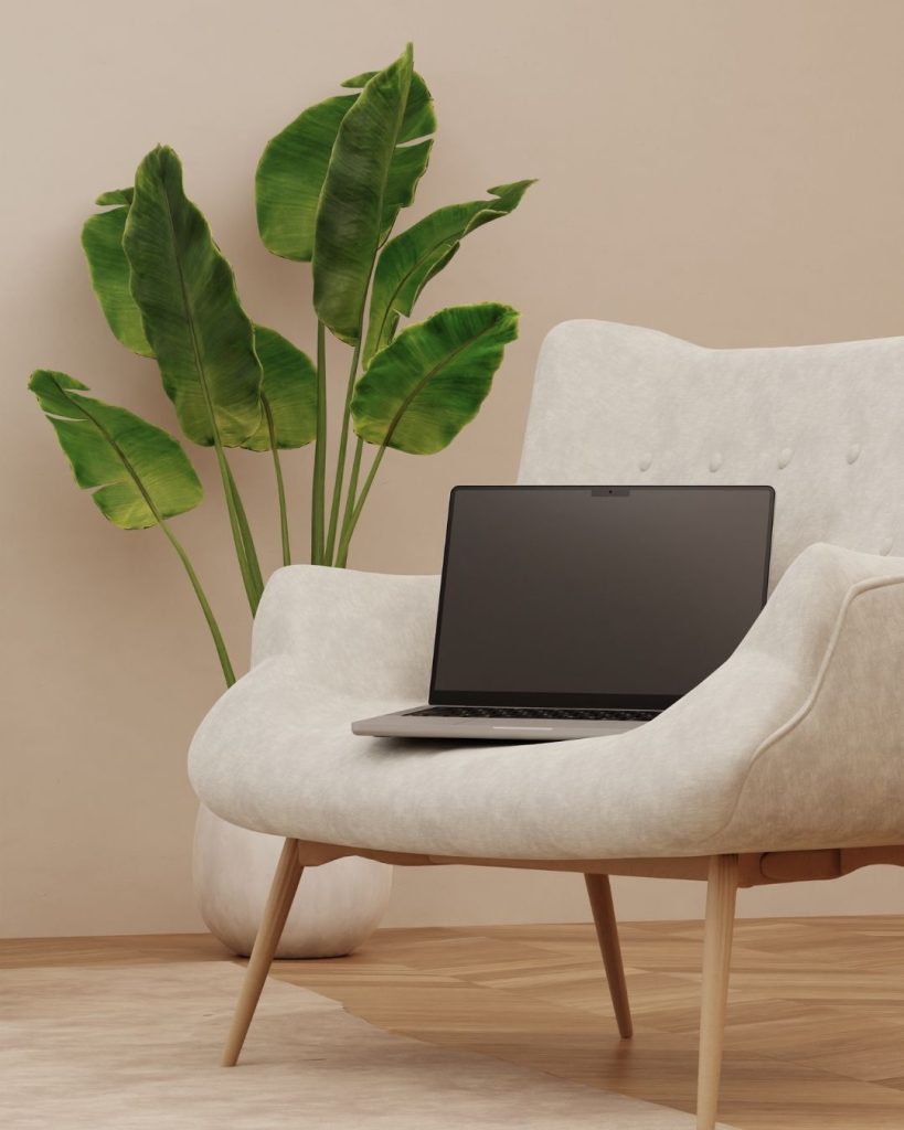 accompagnement ceo obm